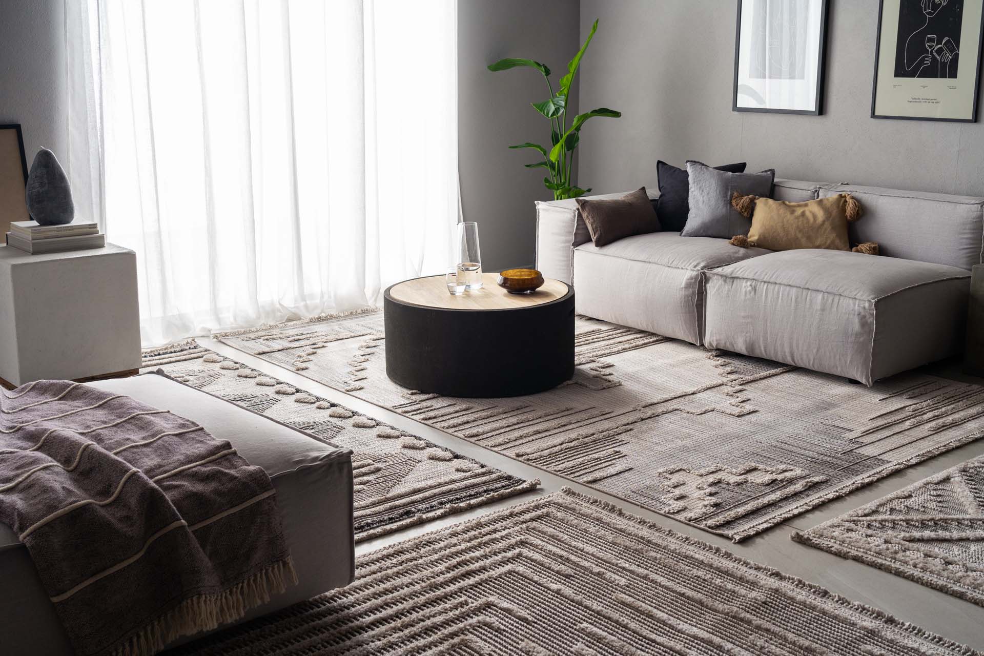 Valencia - Royal Carpet