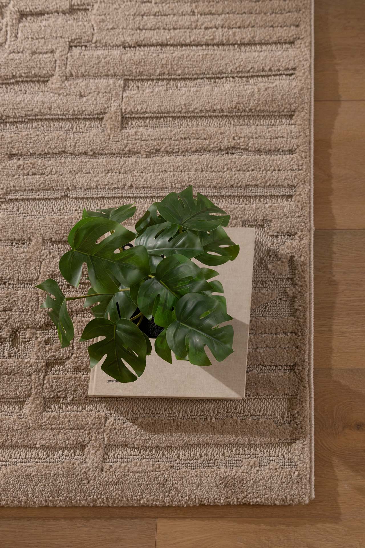 Μοντέρνο Χαλί Chiara 22001 Y - Χαλια Royal Carpet