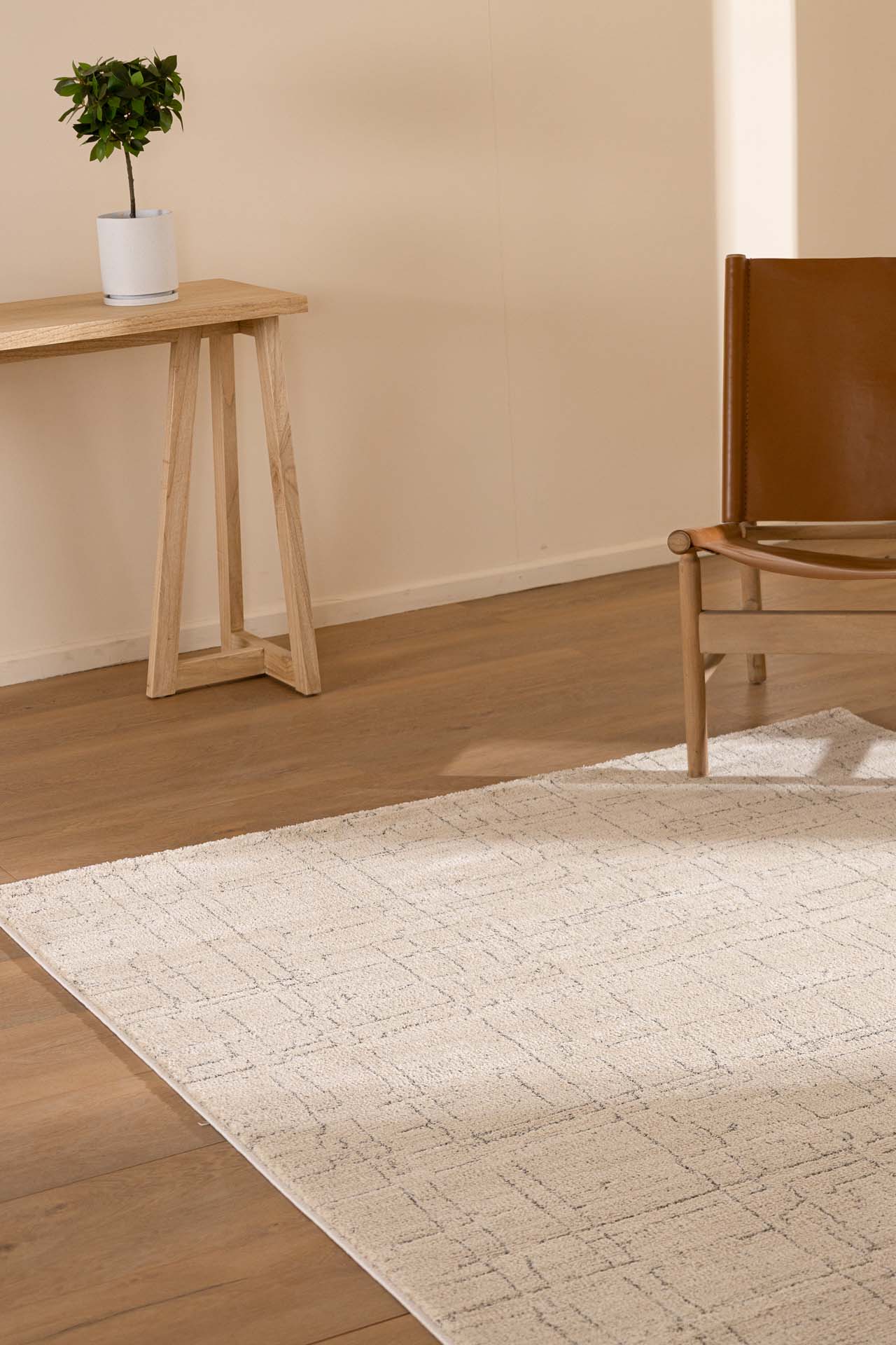 Μοντέρνο Χαλί Matisse 28339A - Royal Carpet