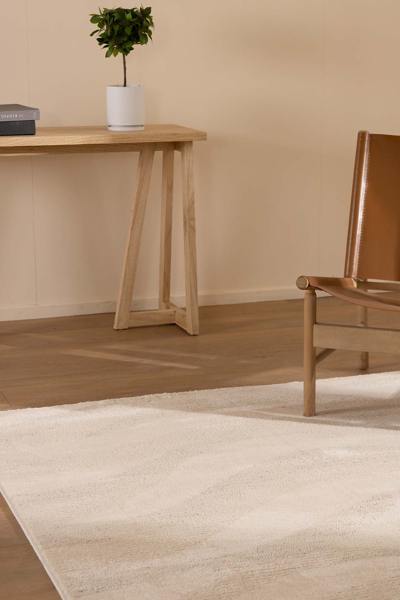 Μοντέρνο Χαλί Matisse 29563A - Royal Carpet