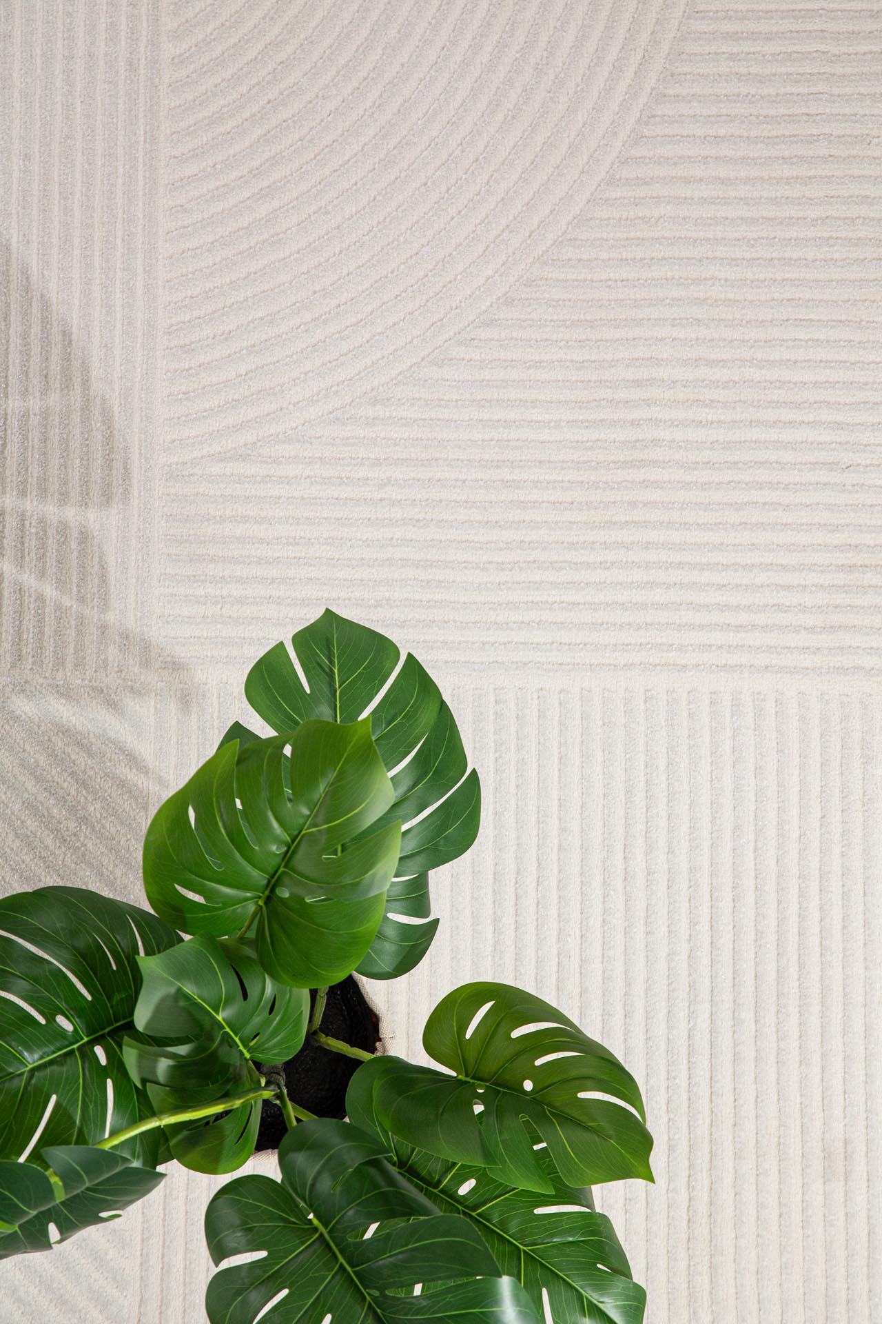 Μοντέρνο Χαλί Organic 591 Cream - Royal Carpet