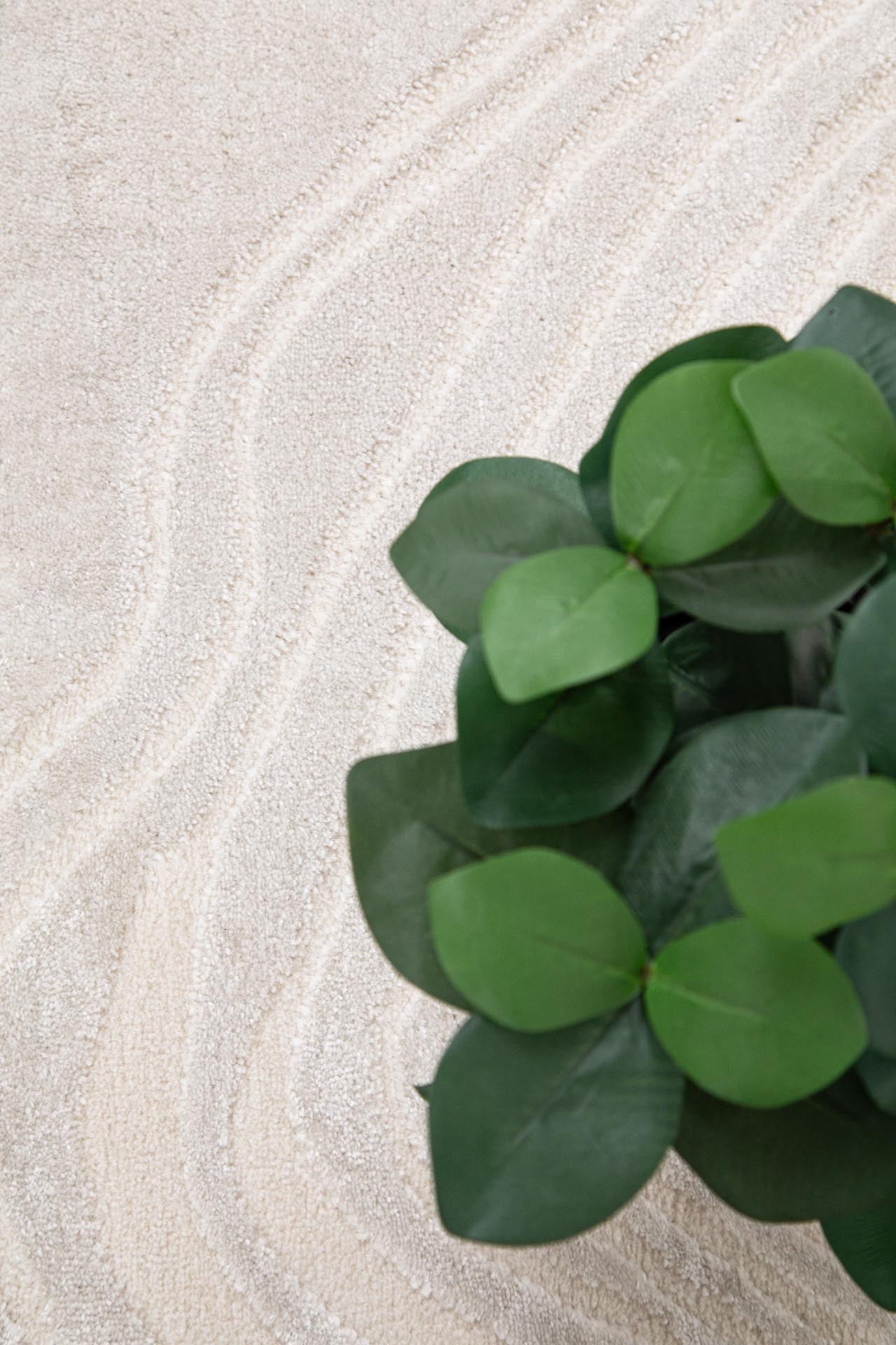 Μοντέρνο Χαλί Organic Shape 249 Cream - Royal Carpet