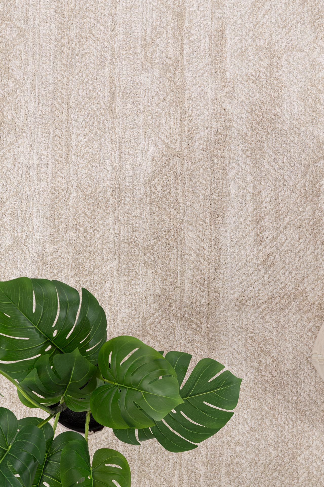 Μοντέρνο Χαλί Solid 1391 Cream - Royal Carpet