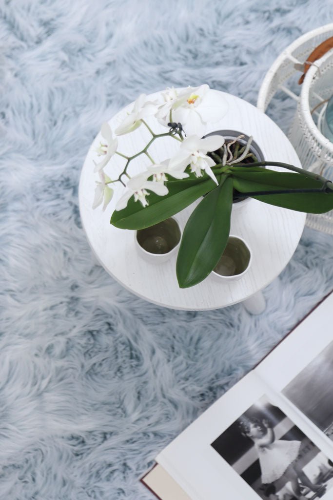 Χαλί Bunny Sheep Blue Tip - Royal Carpet
