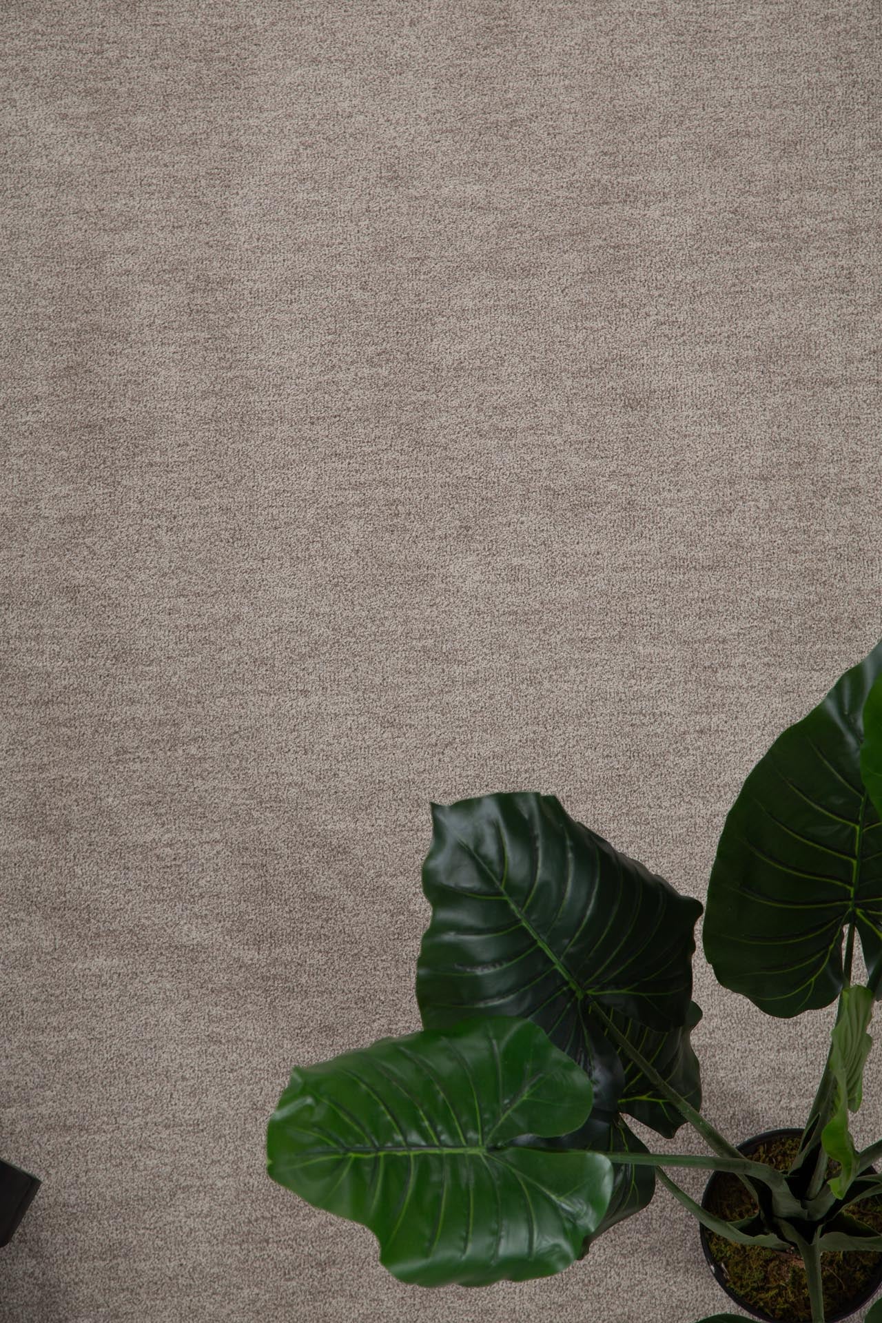 Χαλί Feel 71351 067 - Royal Carpet